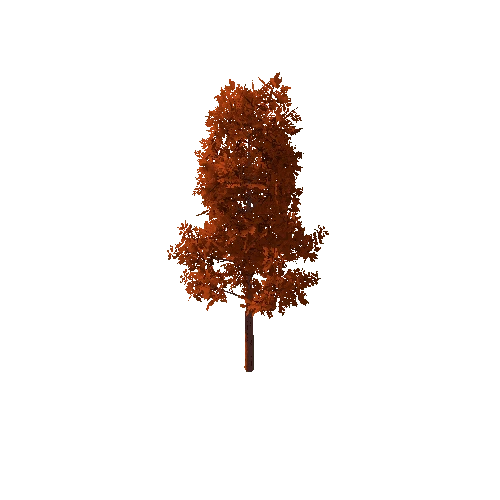 Tree_B Autumn_1